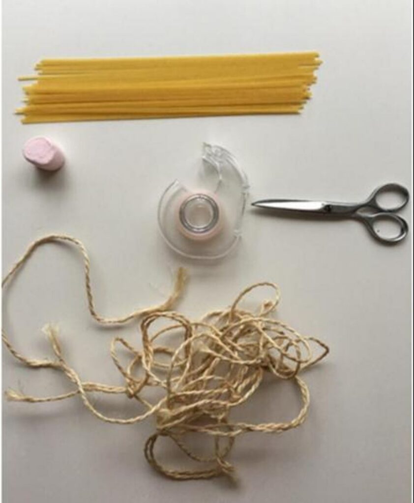 Défi spaghetti-chamallow pour les 2nde Manet