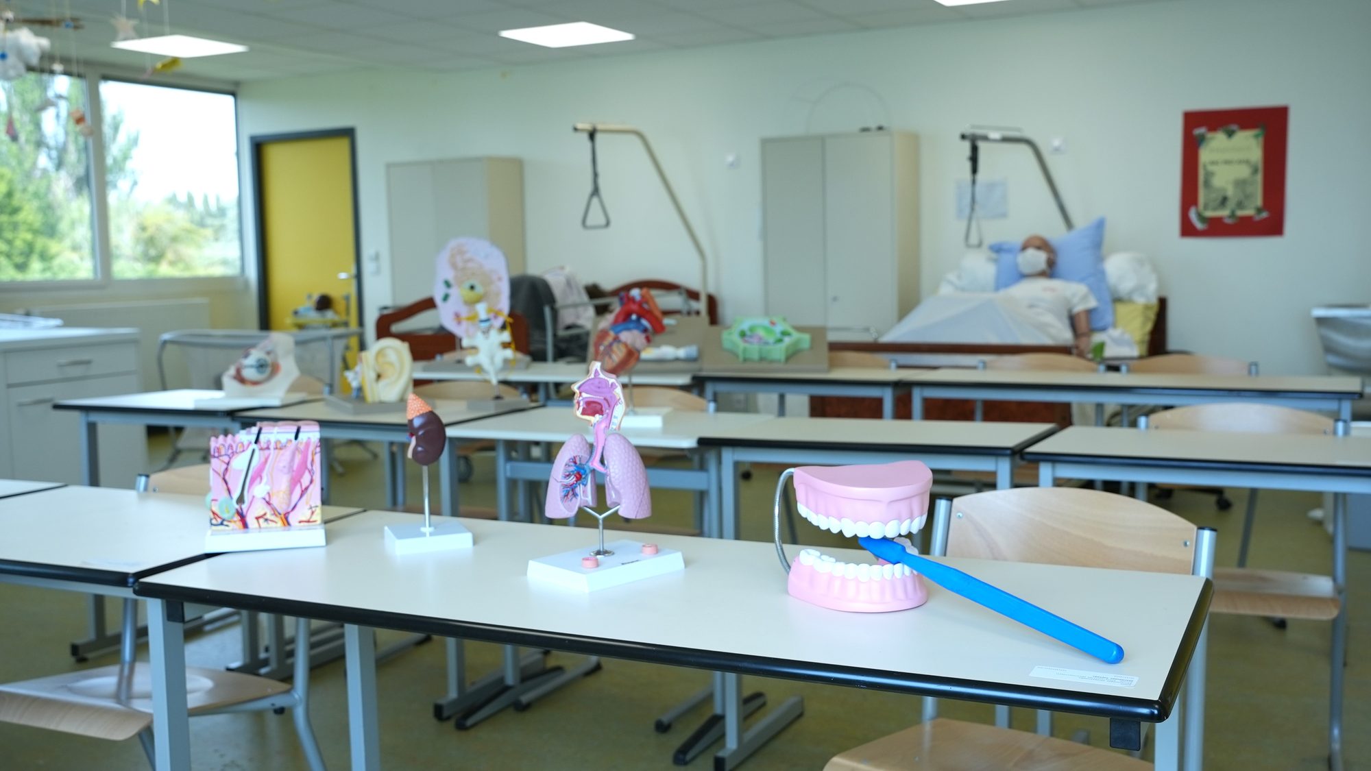 Des élèves de la filière ASSP en atelier