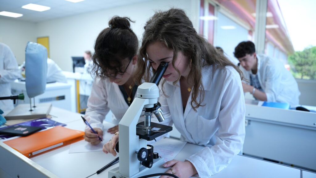 Des lycéens en travaux pratiques de sciences